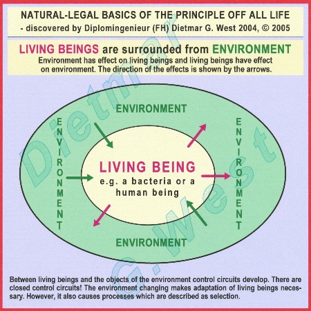 Natural-legal basics of the Principle of all Life: LIVING BEINGS are surrounded from ENVIRONMENT !